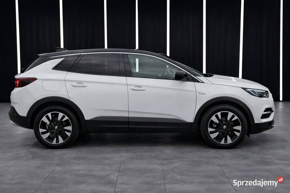 Opel Grandland X AUTOMATbezwypadkowynavikamera przyciemniane szyby małopolskie Żabno