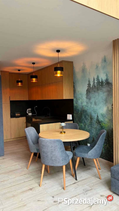 Dom wolnostojący 80m2 WysowaZdrój Sprzedaż Wysowa-Zdrój