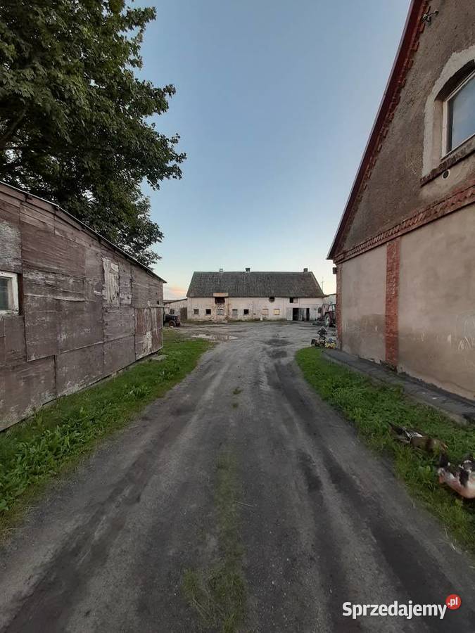 Sprzedam dom z działką 1ha Liczba pokoi 4 Krępa Kaszubska