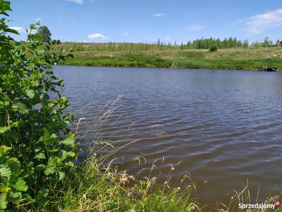Duża działka ze stawem w okolicach Mławy mały mazowieckie Mława