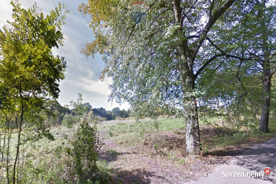 Działka 33 ha z własną linią brzegową j Narie 104m warmińsko-mazurskie Ponary