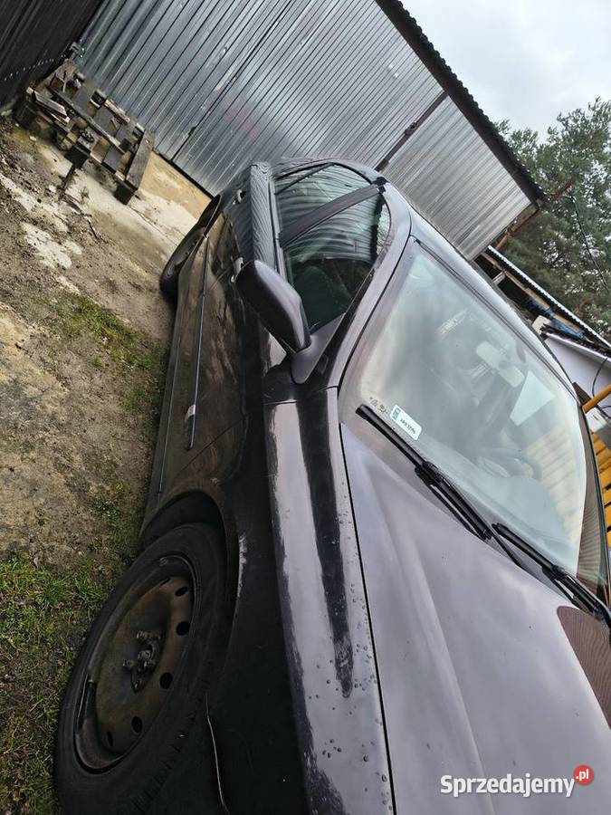 Renault laguna Brody