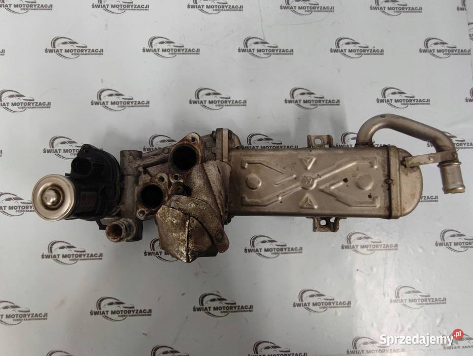 A3 LEON FABIA RAPID 16 TDI CAYN 154 chłodniczka Kielce sprzedam