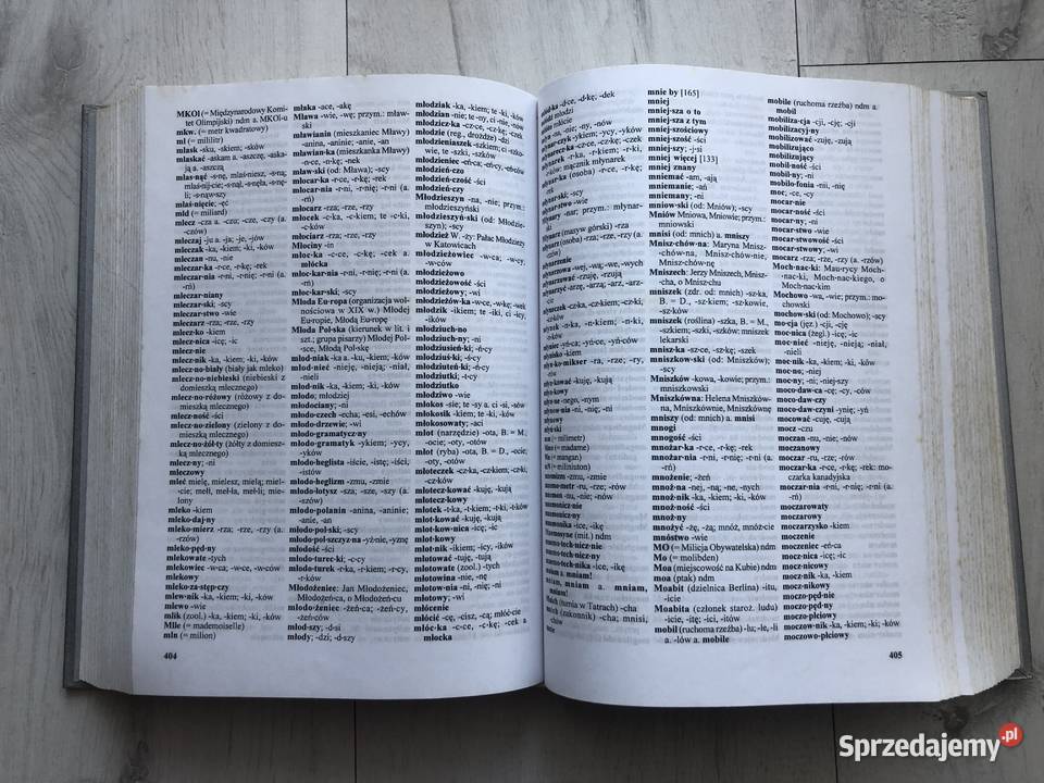 Nowy słownik ortograficzny PWN łódzkie Łódź