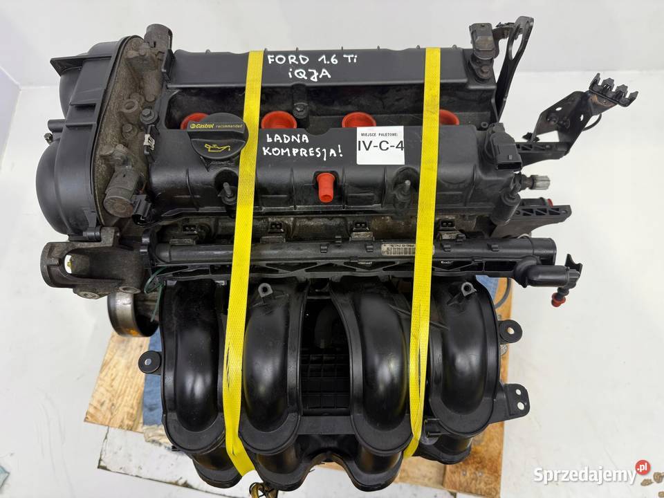 SILNIK Ford B B Fiesta VII MK7 16 16V Ti benzyna Chełm