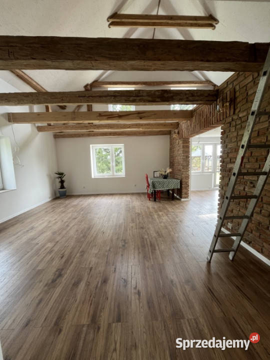 Stryjkowo dom na wsi las cisza 3000 m2 siedlisko