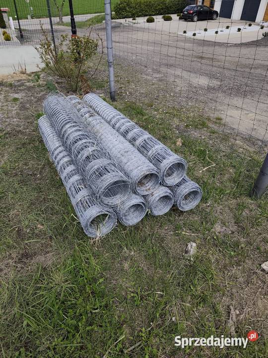Sprzedam siatkę leśną wielkopolskie Gostyń