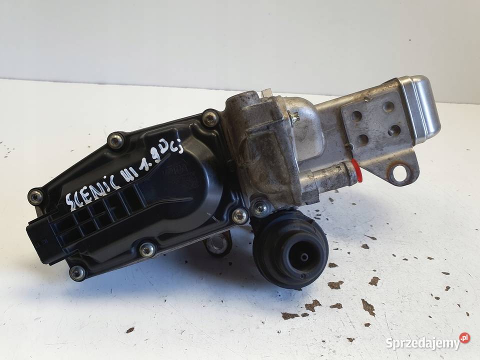 Renault Scenic III 19 DCI CHŁODNICA SPALIN egr Chełm