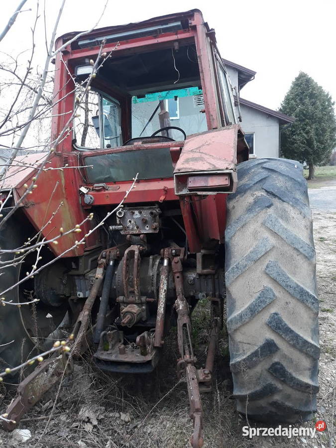 MF 592 Zambrów