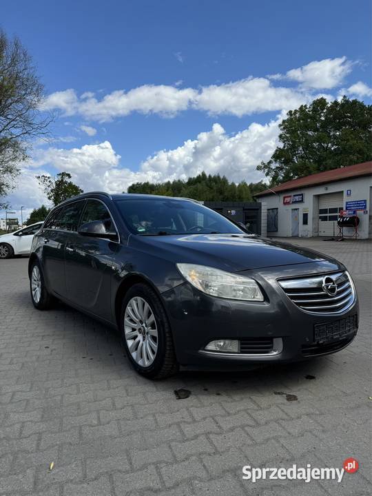 Opel Insignia 18 Benzyna 2009 Słubice
