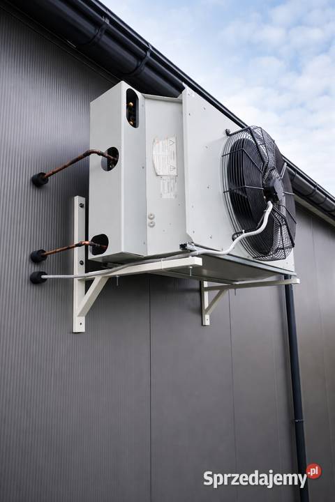 chłodnictwo Lubniewice