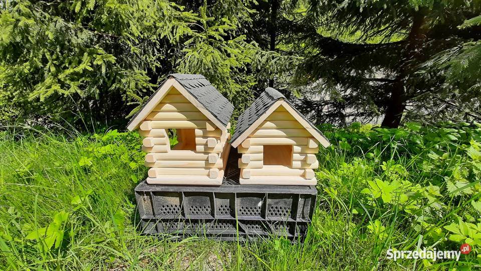 Karmnik ptaków Szczyrk