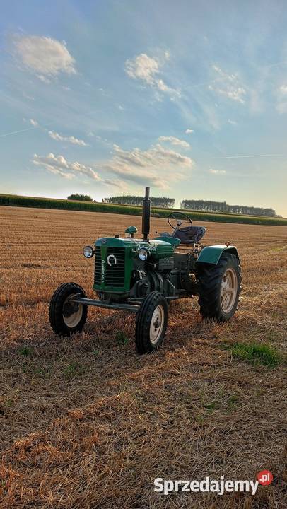 Zetor 25 A Jarosław