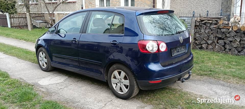 VOLKSWAGEN GOLFPLUS 19 Disel dolnośląskie Prochowice