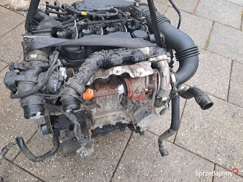 Citroen Peugeot 16HDi skrzynia biegów kod 20DM75