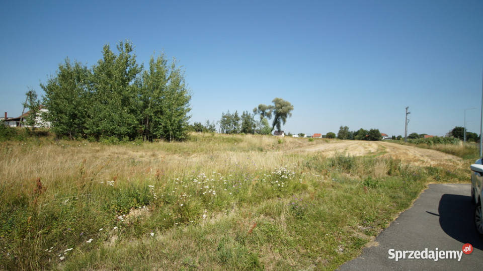 Działka budowlanasprzedaż 910 ar Dobrzeń Wielki Sprzedaż opolskie sprzedam