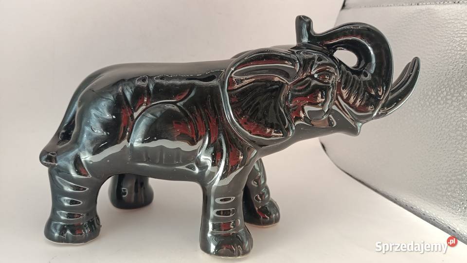 Duży czarny słoń z trąbą do góry i krocząca Zamość