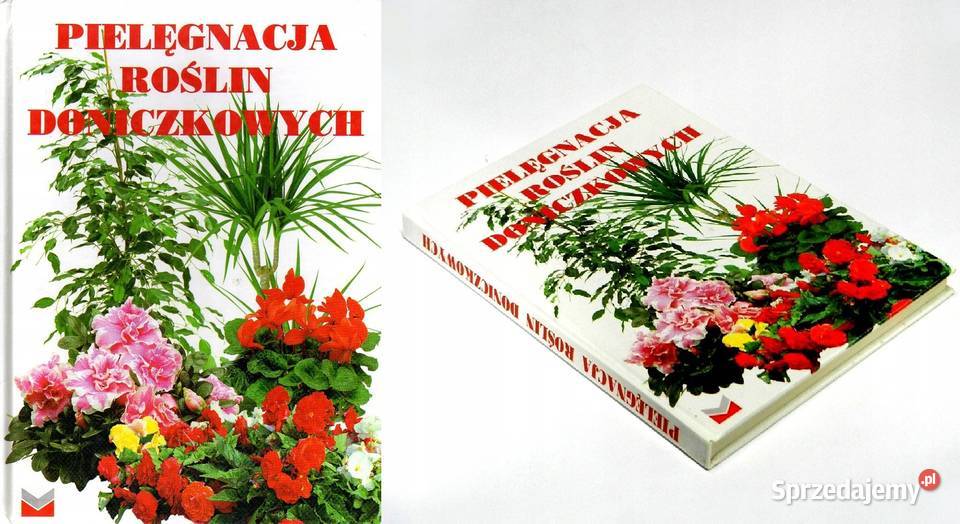 Pielęgnacja roślin doniczkowych Beata Przybylska Kielce