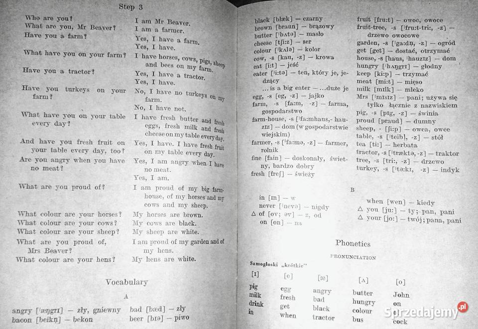 English for polish students Alfred Reszkiewicz miękka Chełm