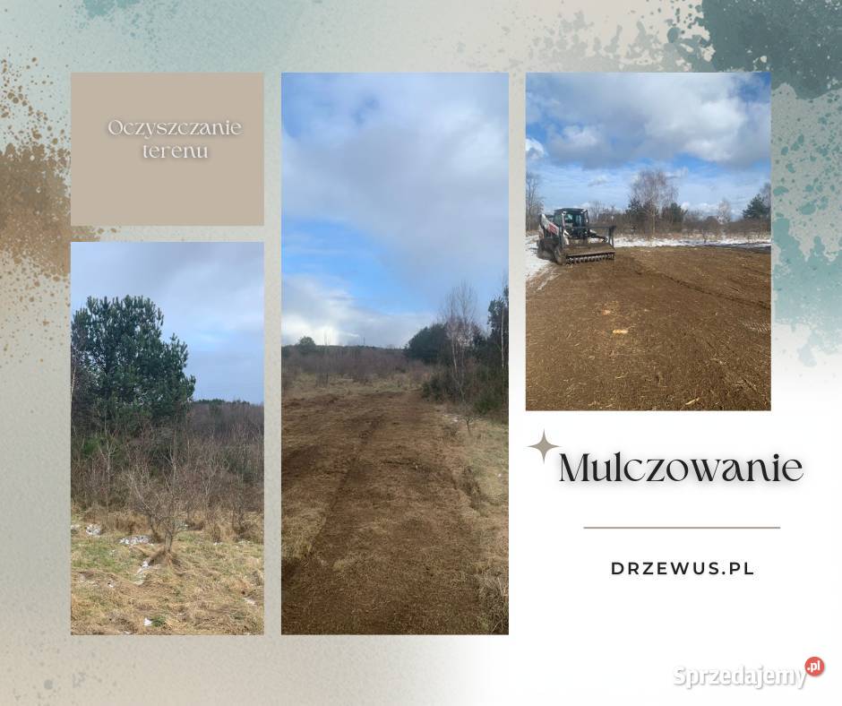 Mulczowanie nieużytków wycinka drzew i krzewów
