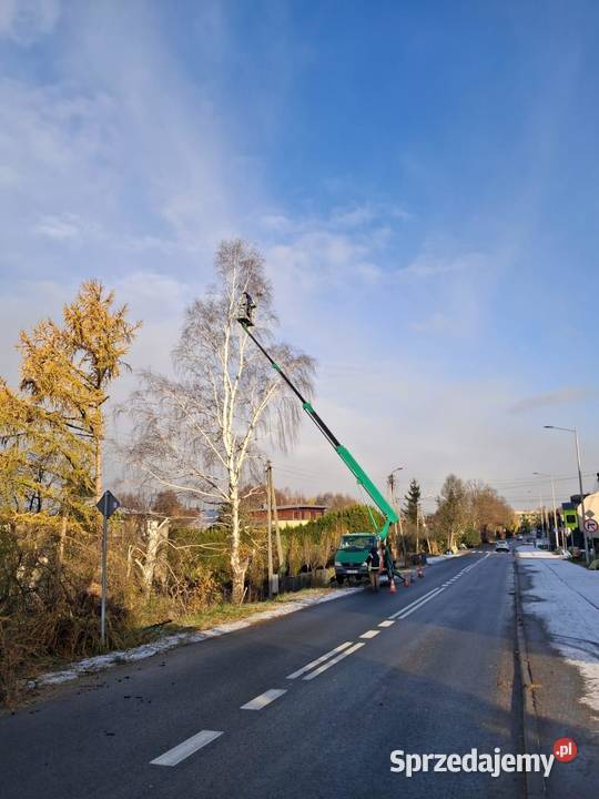 Wycinka drzew | Przycinanie | Zwyżka 20m | Rębak | Gratis wycena