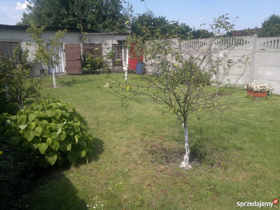 ogródek działkowy Grunty i działki Siemianowice Śląskie sprzedam