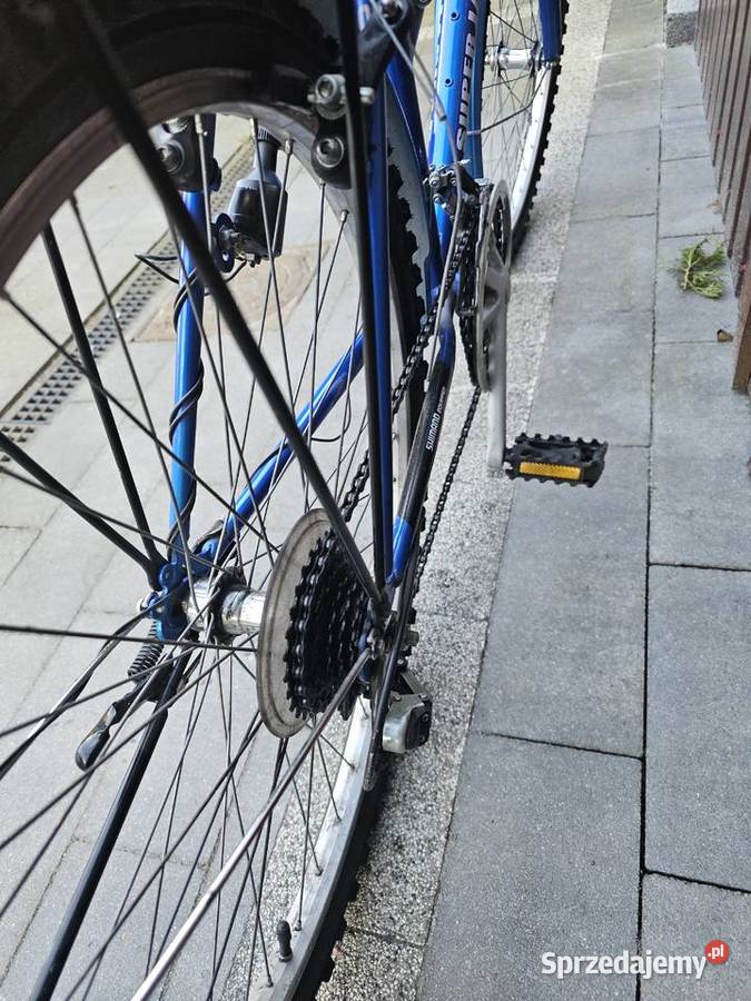 Rower z niską ramą zadbany Koła 26 Góra sprzedam