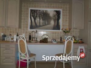 dom w Falenicy 5024zł/m2