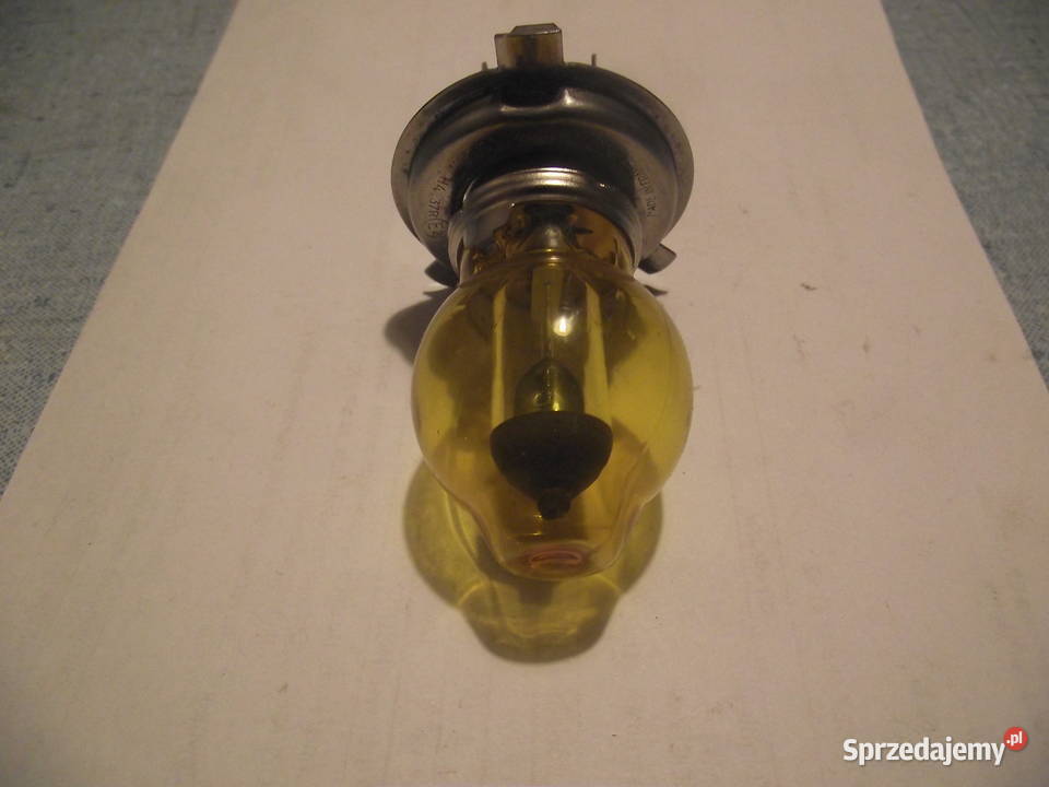 Żarówka H4 12v Zółta Wrocław sprzedam