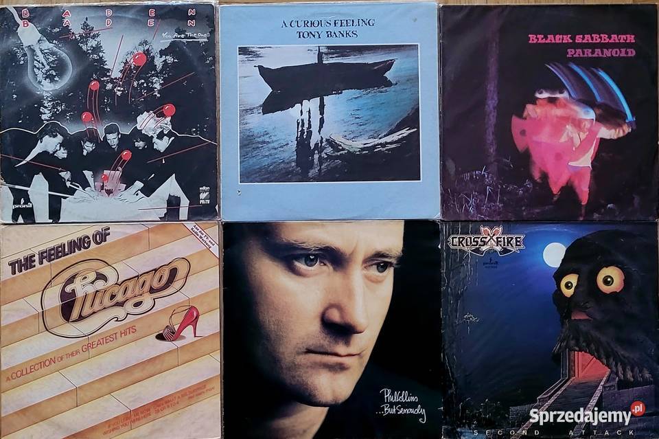 Płyty winylowe na gramofon ROCK lata 6080te XX Warszawa