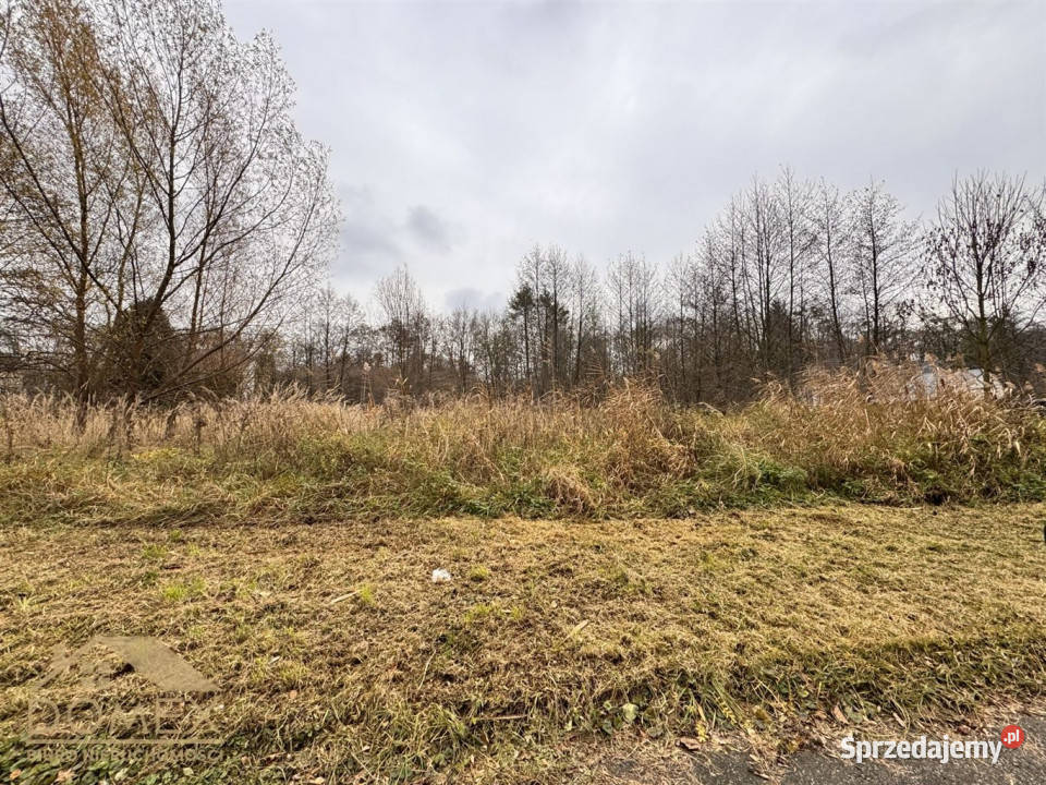 Działka Wodzisław Śląski 3775m2 inwestycyjna