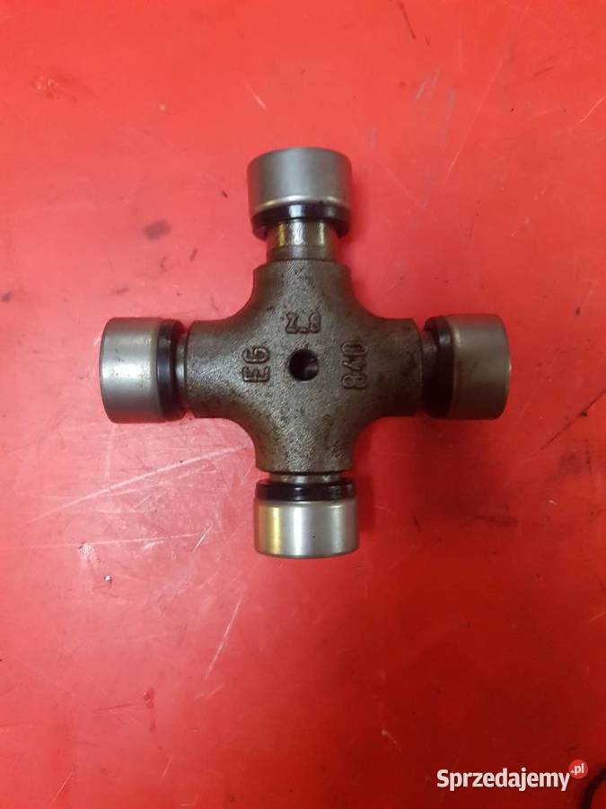 Krzyżak 229196 Sulechów