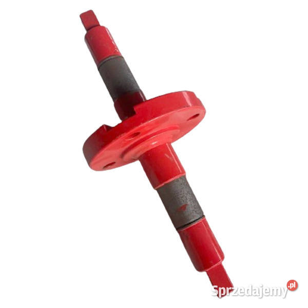 G22270281R Piasta Gaspardo Royal Tiger