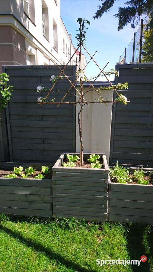 Doniczka drewniane z kantówki 50x50x50 producent mazowieckie Józefów