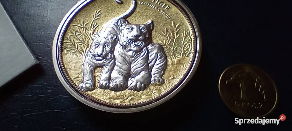 Stare monety Medal 233 Lesko