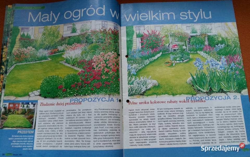 Mój piękny ogródPnącza zawsze górąCzasopismo Łódź