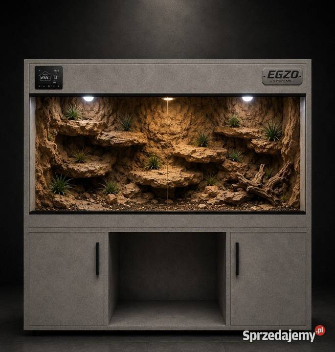 Terrarium hodowlane agamy brodatej gekona Terrarystyka dolnośląskie Wrocław