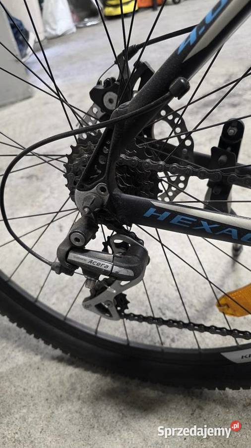 Rower Kross Hexagon 29