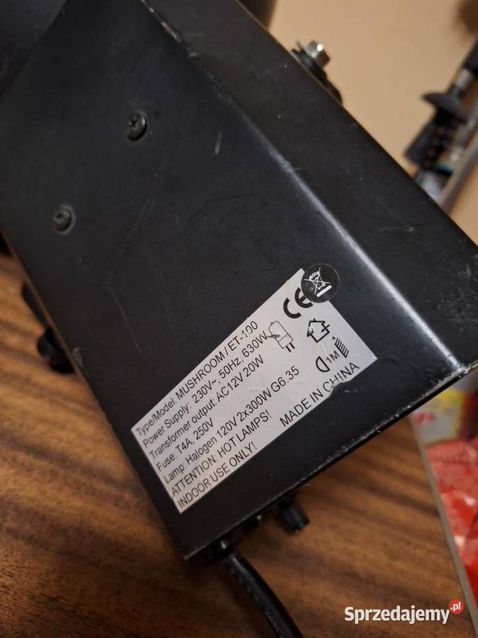 Efekt dyskotekowy Zig Zag Mushroom Warszawa