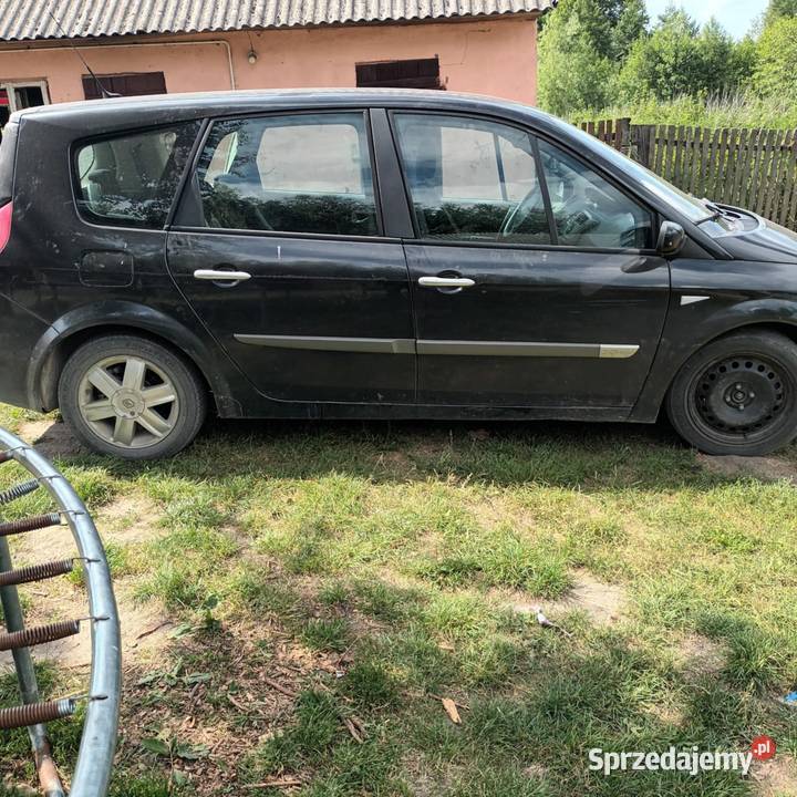 Okazją Strzegowo