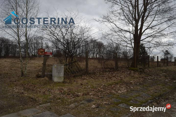 Sprzedaż gruntu Parchowo 1218m2