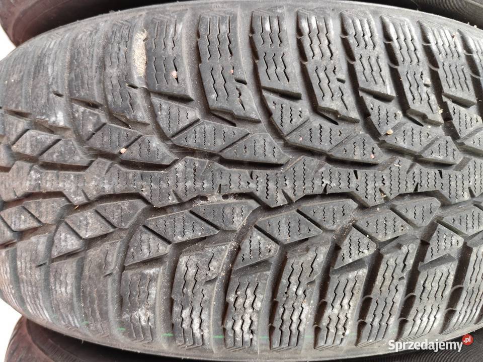 Opony zimowe Nokian WR D4 1955016 88H XL 195 podlaskie Sokółka