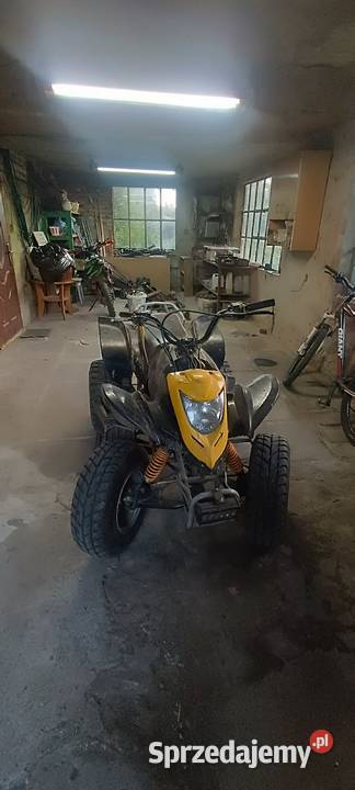 Quad Bashan 150 Swochowo