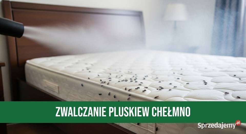 Zwalczanie Pluskiew Chełmno Odpluskwianie Chełmża