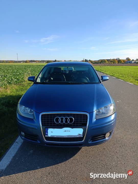 audi a3 8p sportdack Środa Śląska