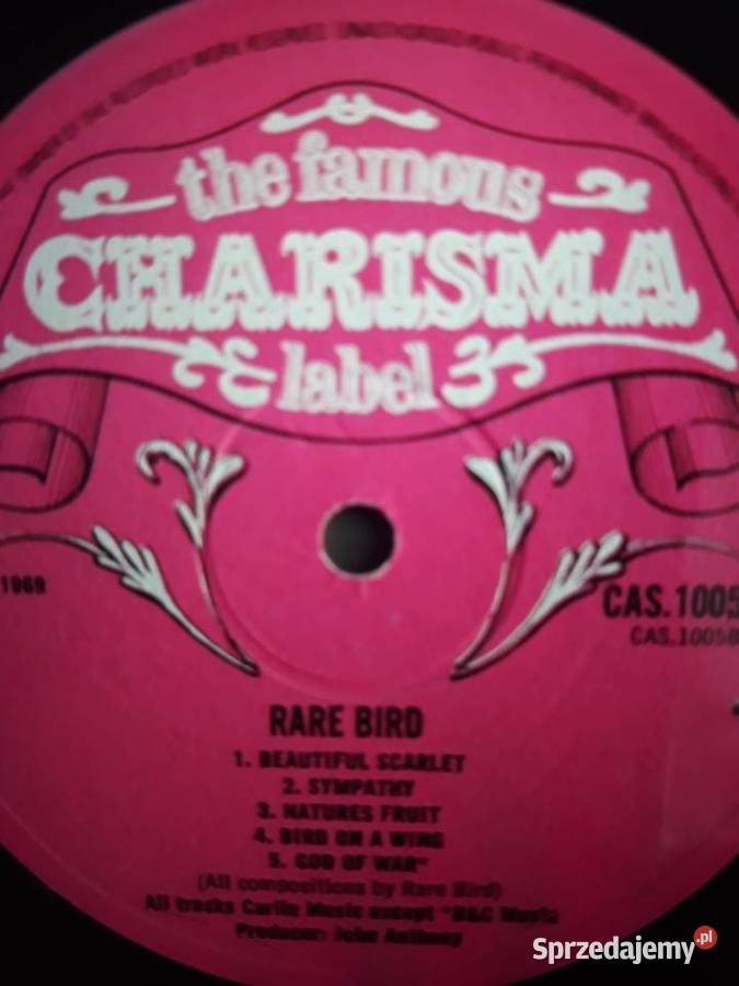 Archiwum progpsych rocka RARE BIRD Rare Bird Kultura i Rozrywka sprzedam