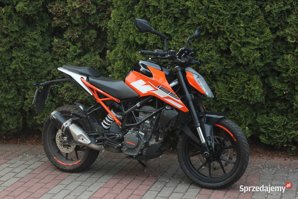 KTM DUKE 125 2019 zarejestrowany można wracać na Rok produkcji 2019 Goleniów