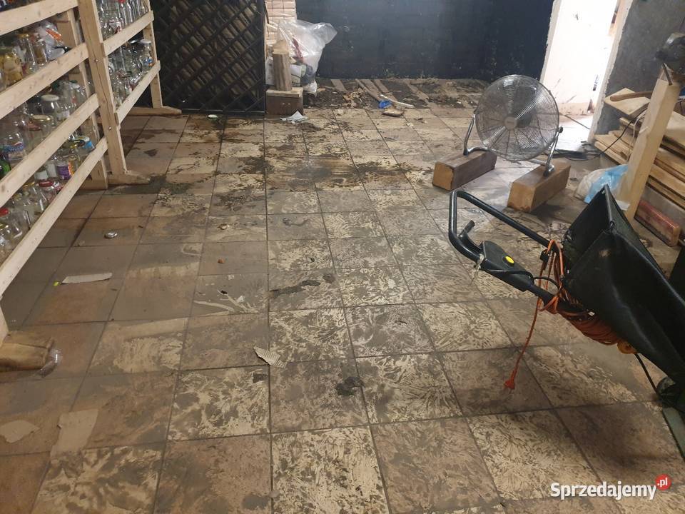 Dezynfekcja i ozonowanie pomieszczeń w Nowa Ruda
