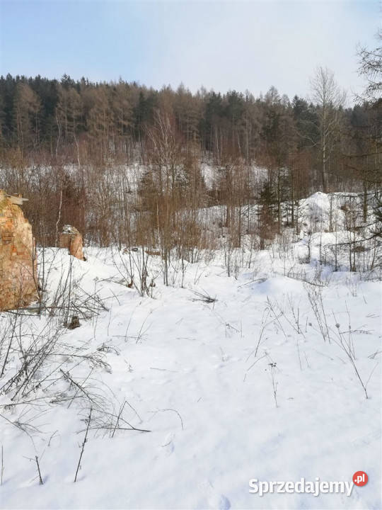 Działka na cele mieszkaniowe Boguszów Gorce Boguszów-Gorce