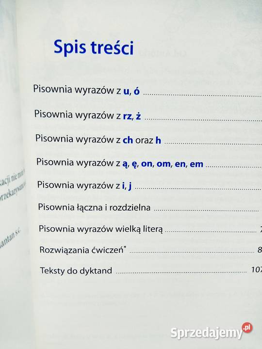 Ortografia w gimnazjum Stypka polski antykwariat